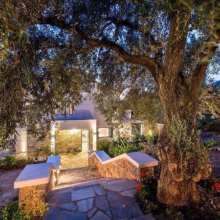 Villa Idealia Panormos  Bagian luar foto