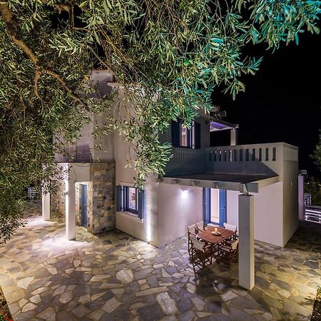 Villa Idealia Panormos  Bagian luar foto