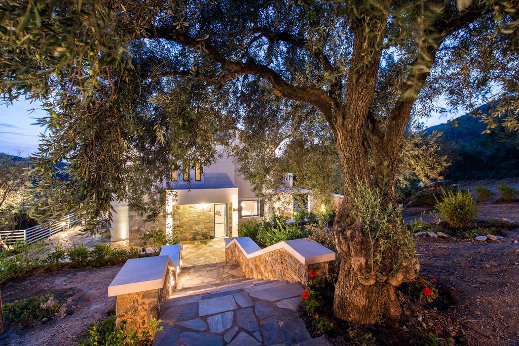 Villa Idealia Panormos  Bagian luar foto